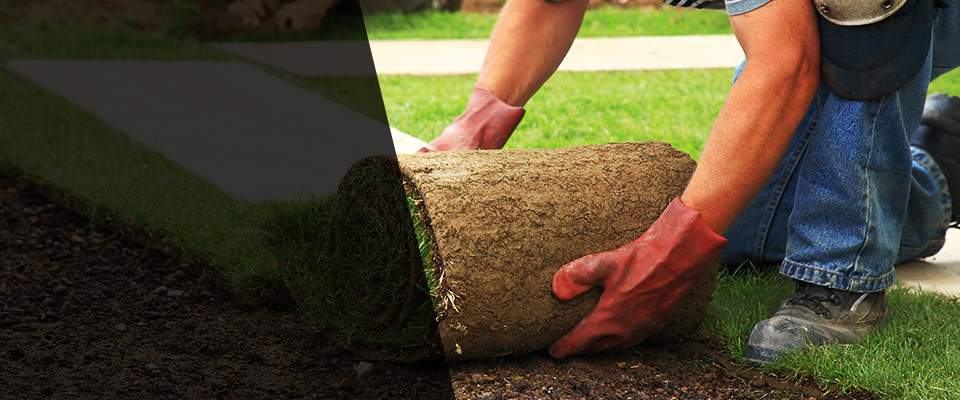 Collinsville Landscapers